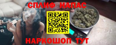 сатива Будённовск